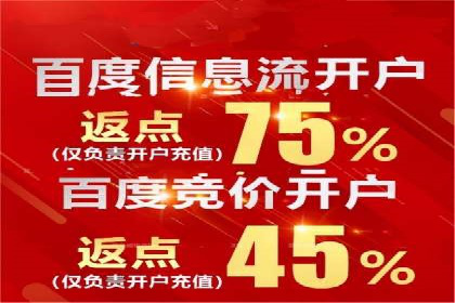行业领先SEM托管代运营案例